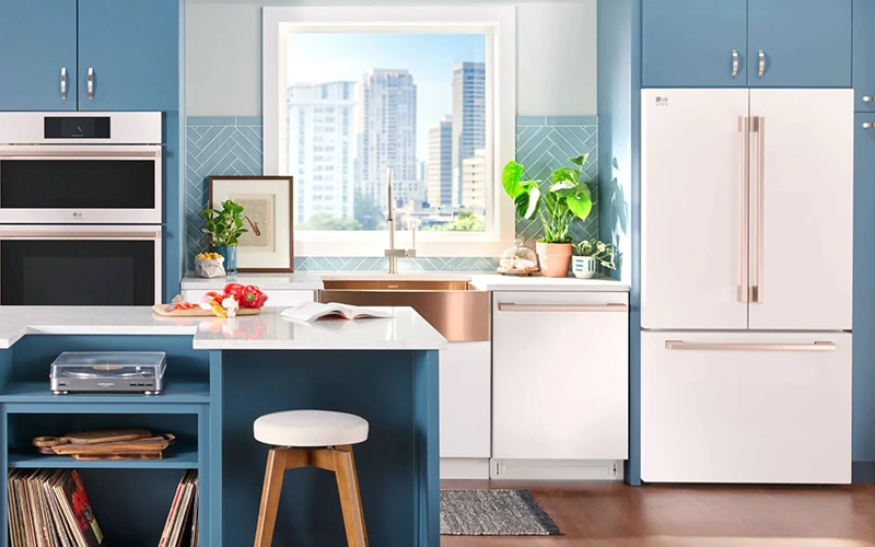 تمیز کردن یخچال سایدبایساید LG